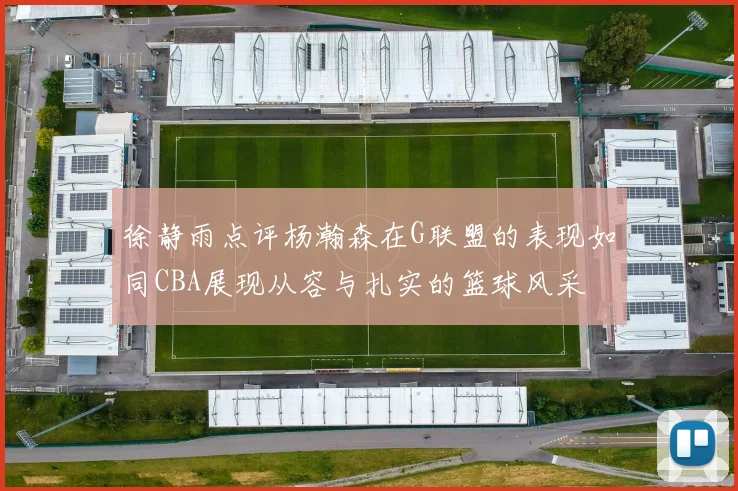 徐静雨点评杨瀚森在G联盟的表现如同CBA展现从容与扎实的篮球风采