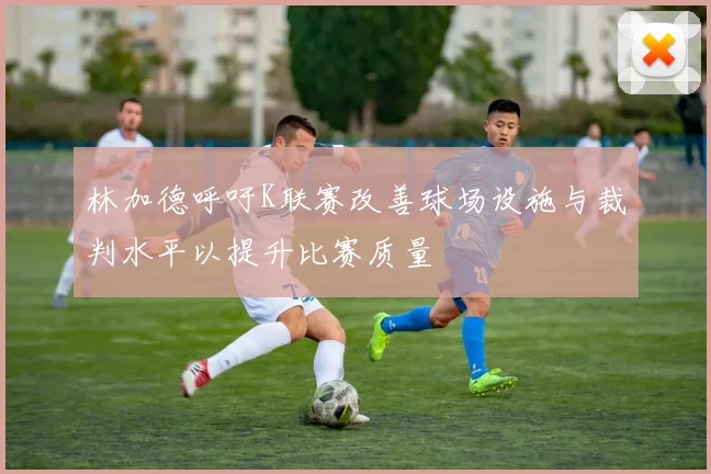 林加德呼吁K联赛改善球场设施与裁判水平以提升比赛质量